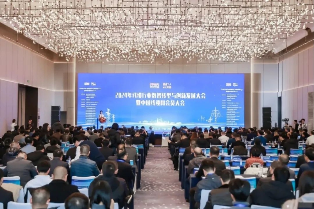 博天堂网址股份荣获“2024年度中国线缆行业领军品牌企业”